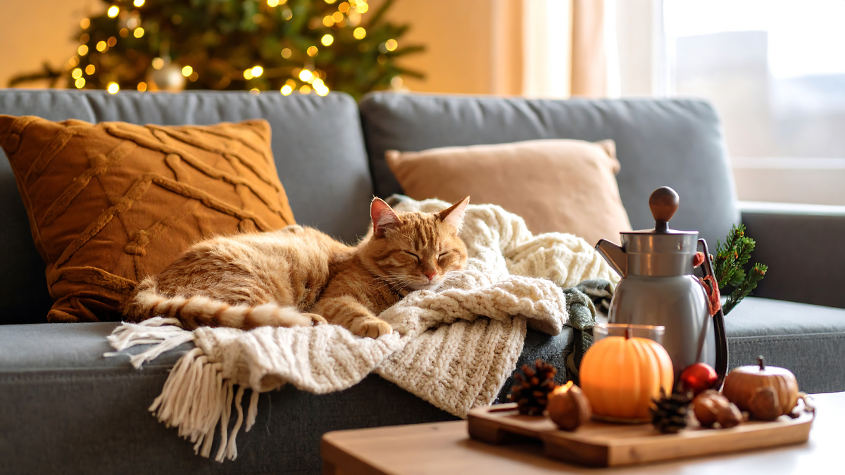 Decorazioni autunnali: plaid, candele e palette ruggine per casa cozy
