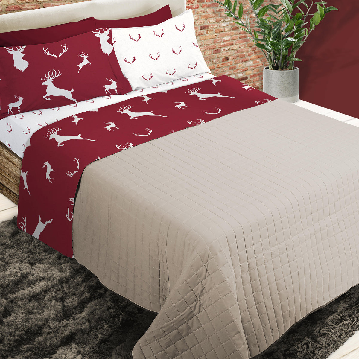 Completo Lenzuola in Puro Cotone - John